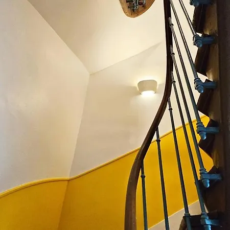 Elegencia-t2 De Charme-hyper Centre-fibre Appartement